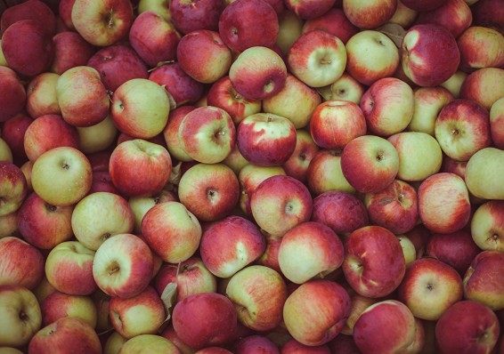 Россельхознадзор нашел запрещенные белорусские яблоки под мешками с картошкой