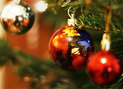 Где в Минске можно купить новогоднюю елку
