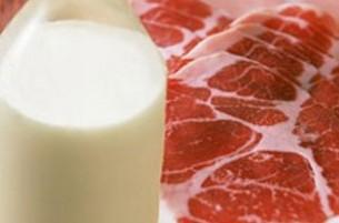В Беларуси планируется снизить закупочные цены на мясо и молоко