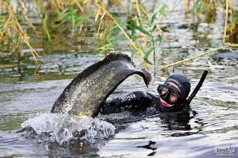 Экотуристическую Беларусь представит выставка фотокорреспондентов БЕЛТА на Большой бард-рыбалке