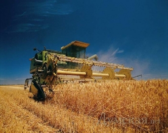 Второй миллион тонн зерна нового урожая собрали в Беларуси