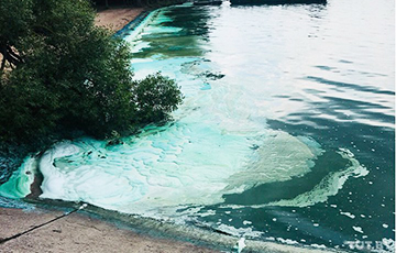 Комитет природных ресурсов объяснил, почему в Дроздах позеленела вода