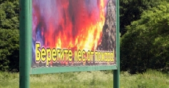 Запрет на посещение лесов введен в Ивацевичском, Пинском и Жлобинском районах