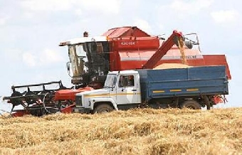 Беларусь перешагнула в жатве рубеж в 5 млн.т зерна
