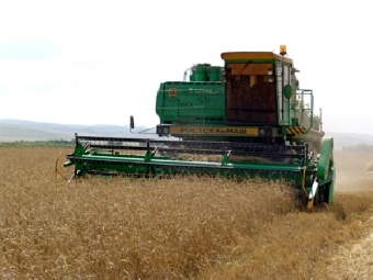 Чистая прибыль сельхозорганизаций Беларуси в январе-июле возросла почти в 3 раза