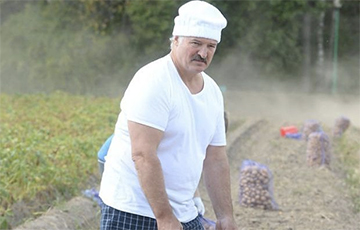 Лукашенко: Придется заниматься фермами и картошкой