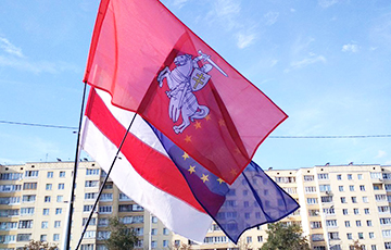 Мозырянин о пикете «Европейской Беларуси»: Упрямые парни, и их флаги будоражат