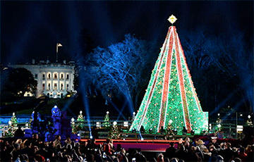 В Вашингтоне мужчина залез на рождественскую ель перед Белым домом