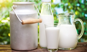 ЕАЭК против Россельхознадзора: Запрет белорусского молока надо отменить