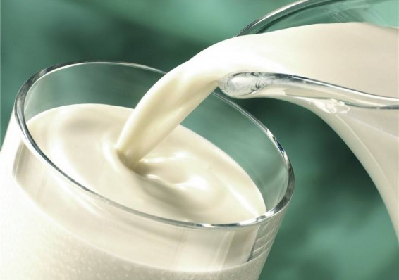 Беларусь планирует в 2017 году увеличить производство молока