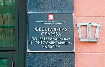 Беларусь недополучила $375 миллионов на поставках продуктов в РФ
