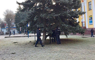 В Барановичах милиционеры, пожарные и медики снимали с елки мужчину