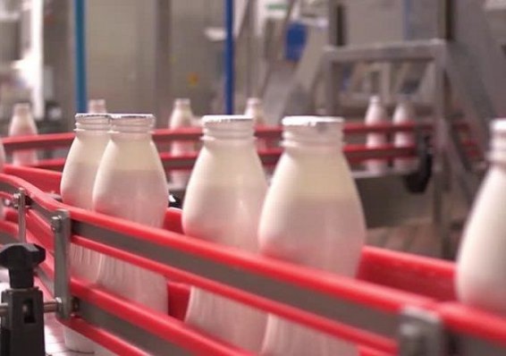 Беларусь недопоставила в Россию более 160 тысяч тонн молока