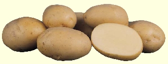 В сентябре в Беларуси снизились цены на картофель и фрукты