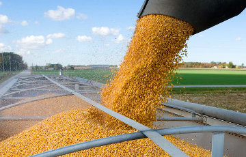 Цены на пшеницу в России взлетели до рекорда на фоне девальвации рубля