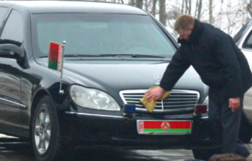 Перед приездом Лукашенко в Гродно  пылесосили траву