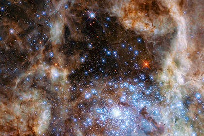 Телескоп Hubble обнаружил девять звезд-монстров