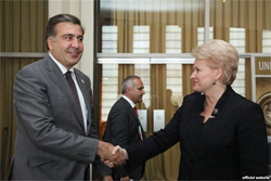 Саакашвили похвалил Грибаускайте за оскорбление белорусской оппозиции