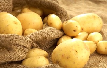 Россельхознадзор нашел гниль в белорусской картошке