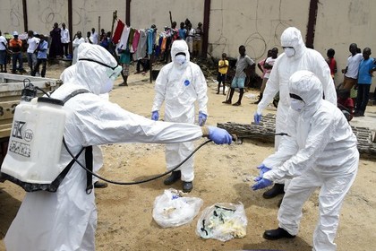 Ученые предсказали распространение лихорадки Эбола на Великобританию и Францию