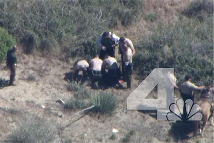 Полицейские в Калифорнии избили упавшего с лошади обездвиженного конокрада