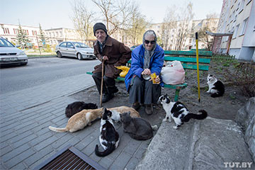 Пожилая пара из Кобрина тратит 2/3 пенсии на 50 дворовых котов
