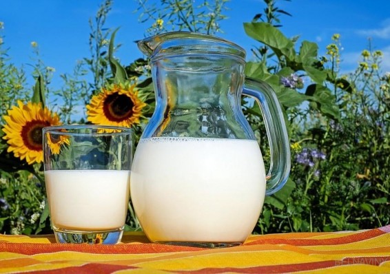Россельхознадзор подозревает белорусских молочников в «обходном маневре»