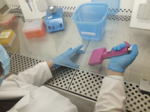 Минздрав мобилизует все возможные лаборатории на ПЦР-тесты
