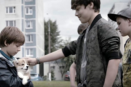 В ФАС признали рекламу собачьего корма Pedigree опасной для детей