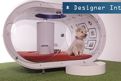 Samsung создала собачью будку за 30 тысяч долларов