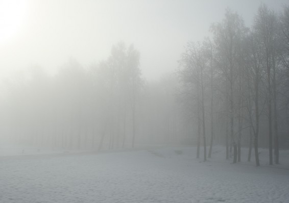 Оранжевый уровень опасности объявлен в Беларуси на 15 февраля из-за тумана