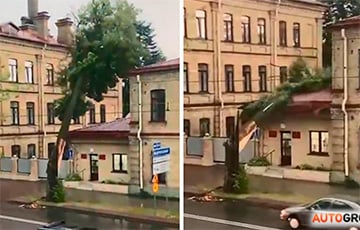 Ливень в Гродно: град диаметром 3 см и падающие на дома деревья