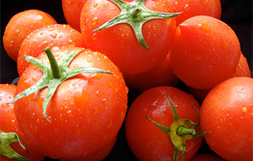 Россия закопала 34,5 тонны томатов и яблок из Беларуси