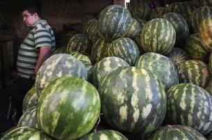 Продавцы, реализующие овощи, фрукты и бахчевые без кассовых аппаратов, нарушают закон