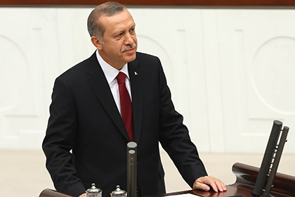 Эрдоган призвал не критиковать свой режим и принять новую конституцию