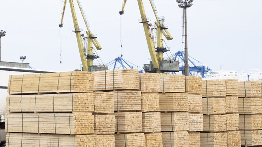 Объемы экспорта белорусской древесины и налоговые поступления отрасли бьют все рекорды