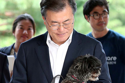 Президент Южной Кореи стал хозяином дворняги из приюта
