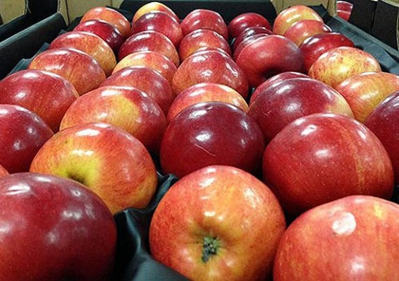 Россельхознадзор «реабилитировал» томаты, яблоки и грибы трех белорусских предприятий
