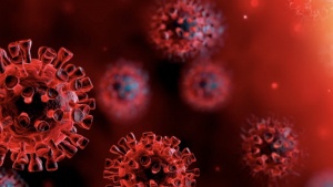 20 стран закрыли сообщение с Великобританией из-за мутации коронавируса