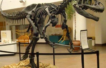 В Великобритании продают скелет динозавра Юрского периода