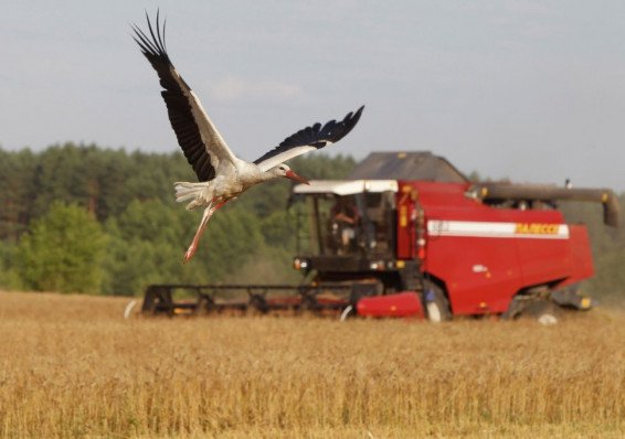 Сельское хозяйство Беларуси адаптируют к изменению климата