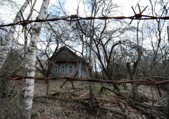 «Чернобыльские» районы показывают успехи в сельском хозяйстве и демографии