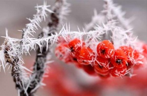 В Беларуси ожидается серьезное похолодание