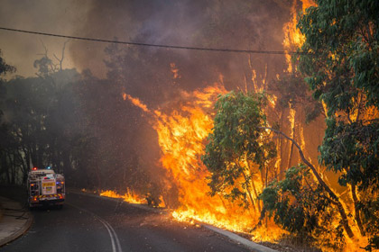 Лесные пожары уничтожили десятки домов в Австралии