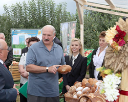 Сельское хозяйство Беларуси не получит государственных денег