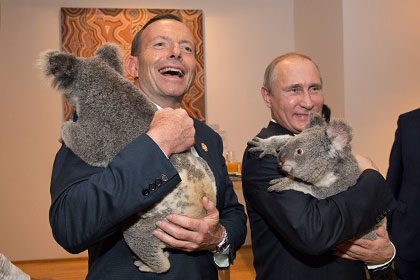 Фотосессия Путина с коалой обошлась австралийцам в 24 тысячи долларов