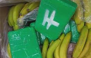 В Чехии среди груза бананов нашли кокаин на €83 млн