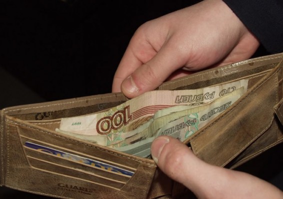 30% работников сферы образования зарабатывают менее 300 рублей