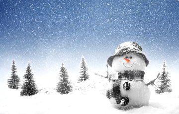 Из-за снега в Гомеле отменили празднование «Дня снега»
