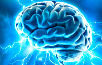 Пять фактов о мозге, которые объясняют странное поведение человека